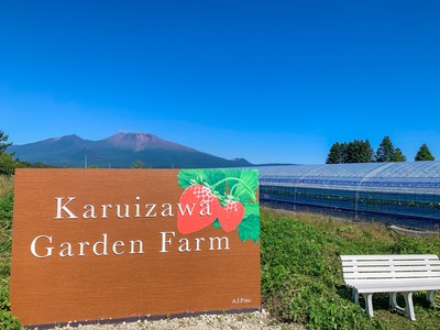 標高1000メートルに位置する軽井沢。雄大な浅間山を正面にいちご狩りを楽しめる