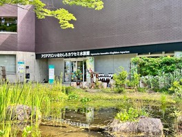 福島県内の希少淡水生物を展示している