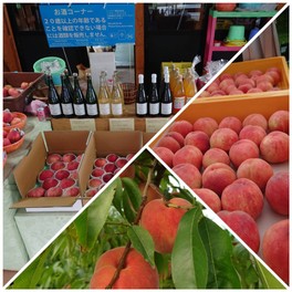 園内で採れた旬の果物の直売も行っている