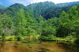 豊かな自然と透明度の高い水を誇る田代池はビュースポットとして人気