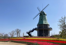 土浦市市制施行50周年を記念して建てられた公園のシンボルとなるオランダ型風車