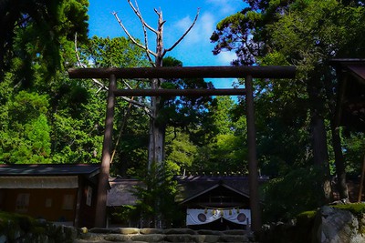 「茅葺神明造の本殿」「黒木の鳥居」は、いずれも全国的に数少ない。中央のご神木は樹齢2000年と伝えられる「龍灯の杉」