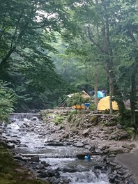 自然を満喫できるキャンプ場