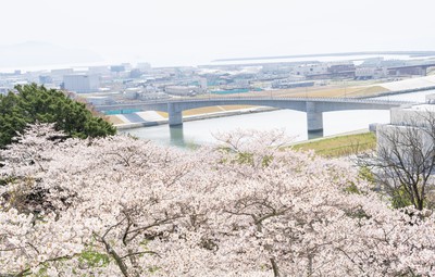 眼下に流れる旧北上川の河口からは広く太平洋が広がる