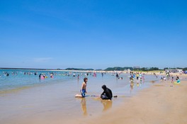 見渡す限りの広大な砂浜が印象的