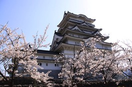 石垣から天守閣の上の鯱まで57.8mで天守閣の高さは日本一を誇る