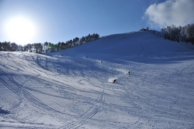 聖高原スキー場 長野県 の情報 ウォーカープラス