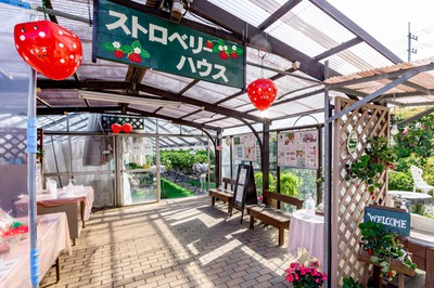 10種類のいちごを栽培しており食べ比べができる