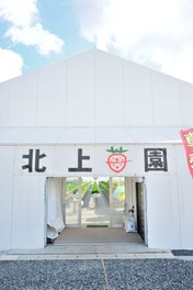 入り口から見える整然としたいちごの栽培ハウス
