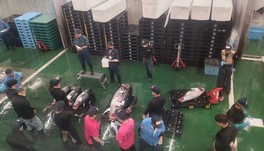 迫力のあるマグロのせり