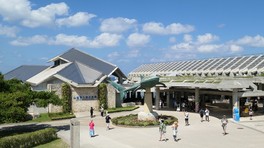 入口ではジンベエザメのモニュメントがお出迎え