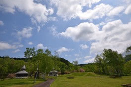 場内や周辺では昆虫採集も楽しめる