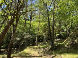 標高1000メートルの景色が楽しめる