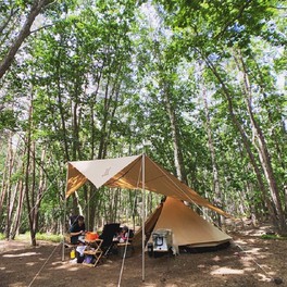 シラカバ林に囲まれ夏は木陰になるテントサイト