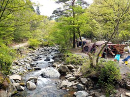 緑豊かな林の中で川のせせらぎをBGMに自分好みのキャンプを満喫