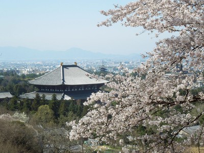 新若草山コースから眺める東大寺大仏殿と興福寺五重塔