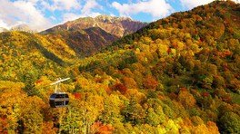 2階建てゴンドラで気軽に標高2000メートルを超える絶景の旅を楽しめる