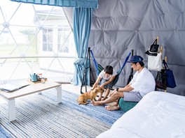 ペット同伴サイトならペットもお部屋内で自由に過ごせる
