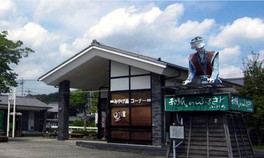 広い敷地にさまざまな施設が並びイベントも開催される