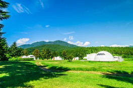 心広がる高原の旅で自然の実りを味わいつくす