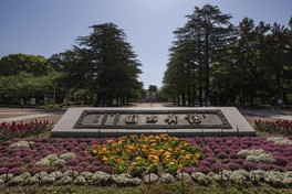 3月下旬から6月上旬にかけては鶴舞公園花まつりが開催される