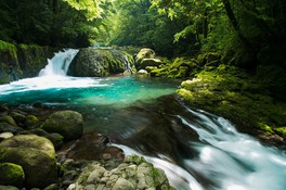 青緑に水が輝く黎明の滝