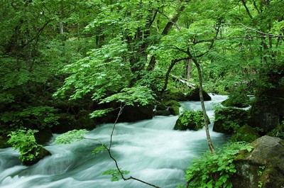 奥入瀬渓流随一の美景として知られる阿修羅の流れ