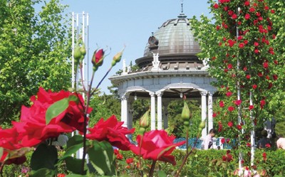 3月下旬から6月上旬にかけては鶴舞公園花まつりが開催される