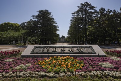3月下旬から6月上旬にかけては鶴舞公園花まつりが開催される