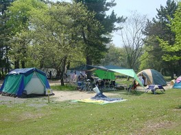 豊かな緑に囲まれたキャンプサイト
