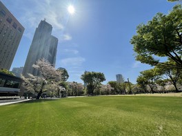 公園のすぐ近くに東京都庁などの高層ビルが立ち並ぶ