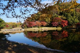 ひょうたん池に色づいた紅葉が映り風情ある景観に包まれる