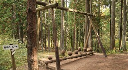 森林の空間に作られた木製のエレメントは、周囲と一体化していて壮大さが心地よい