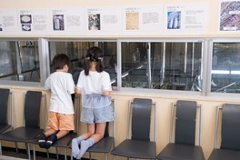 見学できるのは主に絹豆腐と木綿豆腐の製造工程