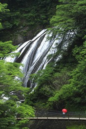 新緑が美しい5月初旬の袋田の滝
