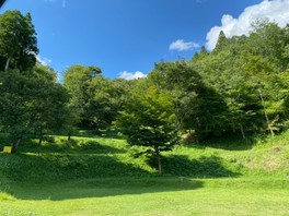 オーナー手作りの広々としたキャンプ場