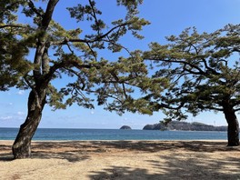 夏場は多くの客で賑わう