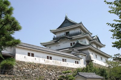 和歌山城天守閣の初日の出(和歌山県)の情報｜ウォーカープラス