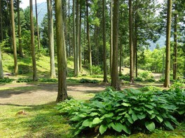 山間の空気が楽しめるキャンプ場