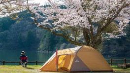 鵜の池公園キャンプ場