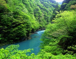 独特の青い渓流と清々しい新緑