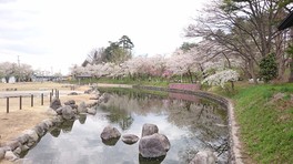 広場や散策路が整備された園内には約200本の桜の木が植えられている