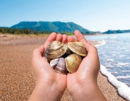 海水浴シーズンは大勢の客で賑わう