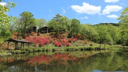 5月には園内がつつじでいっぱいに