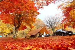 紅葉に包まれる秋のキャンプサイト