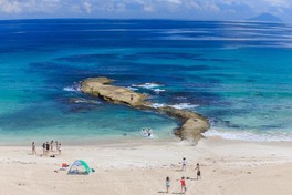 澄んだ水は日本の水浴場88選などにも選ばれている