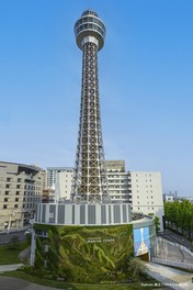 全長106mの横浜マリンタワー