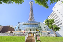 全長106mの横浜マリンタワー