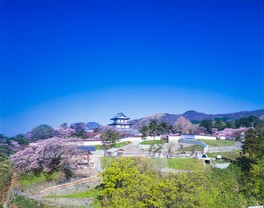 松前城を中心とした広大な敷地面積を誇る