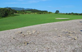 自然の景観を活かした園内で縄文時代が体感できる